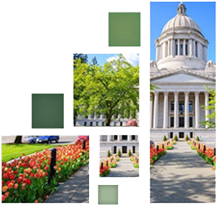 Collage of the Capitol building and area